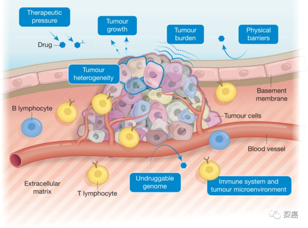 nature丨肿瘤耐药新视角